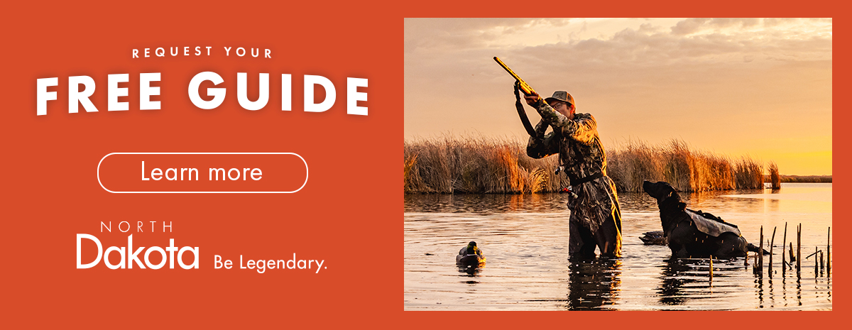 33248-1-NDT-Ducks-Ad